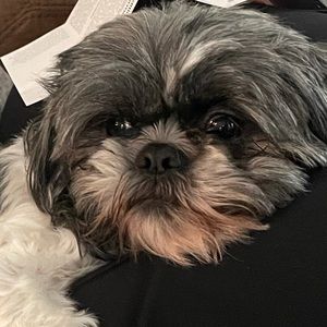 Meet your Posher, Gray